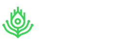 Hera Cybersecurity Logo